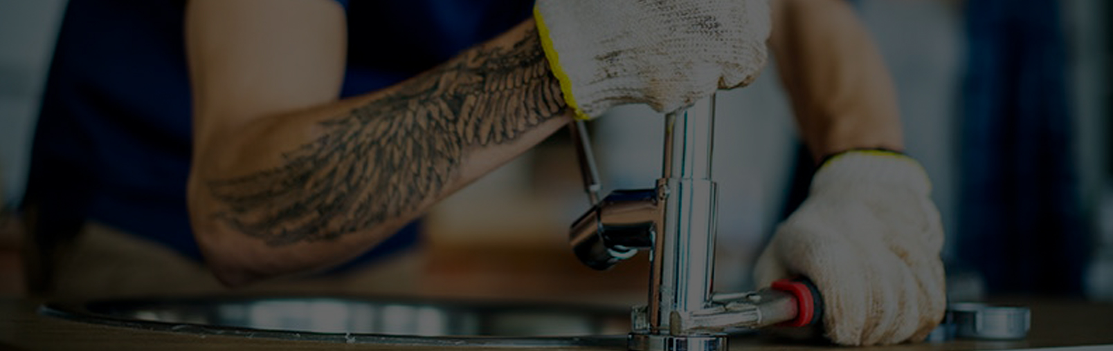 Banner image